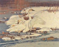 White On White / Jim Morgan / 24.00x30.00 / $13000.00