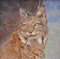 Bobcat Portrait / Jim Morgan / 12.00x12.00 / $3300.00/ Sold
