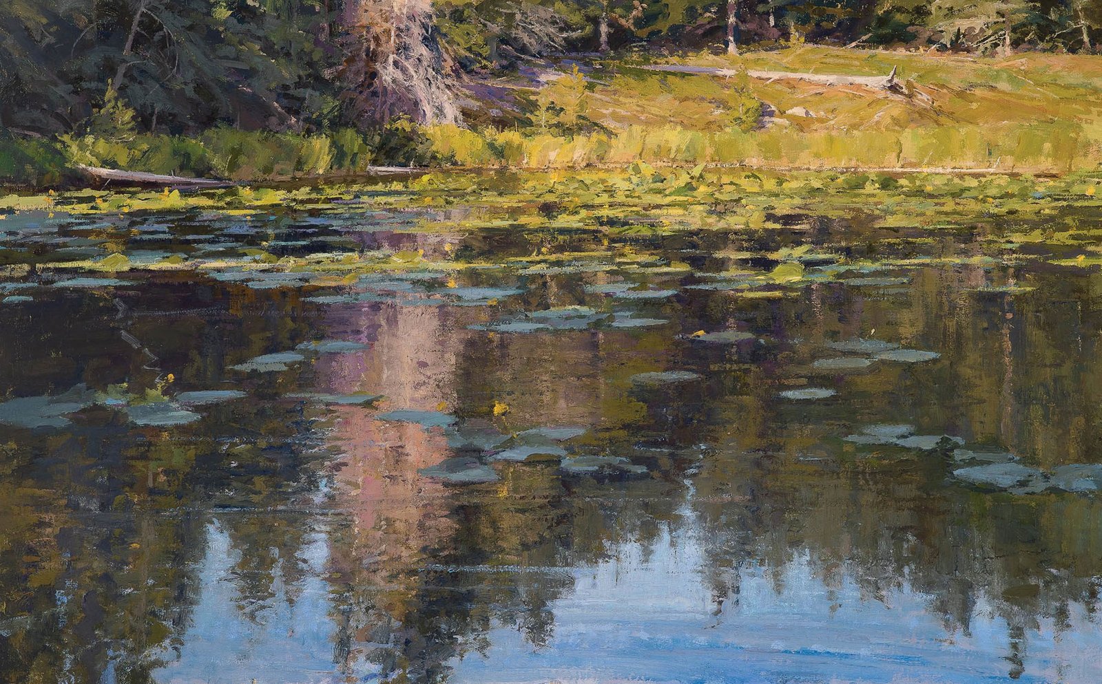Skip Whitcomb Workshop